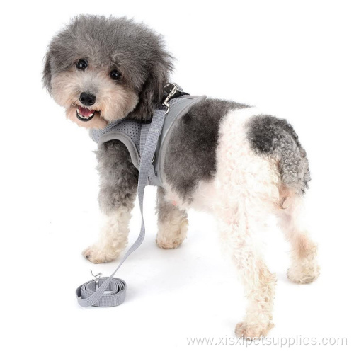 Mesh Cute Dog Vest Harness And Leah Set